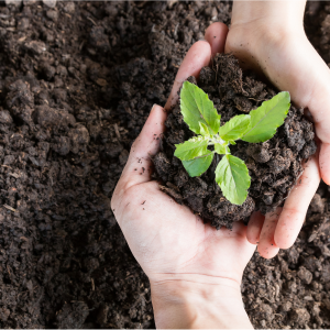 POLÍTICA MEDIOAMBIENTAL SEVELAR